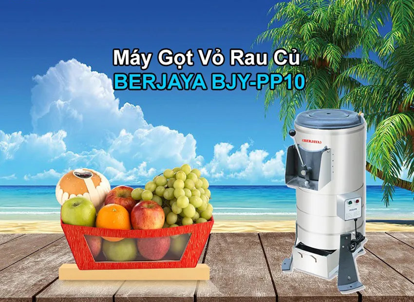 Máy gọt vỏ khoai tây và rau quả Berjaya Bjy-pp10