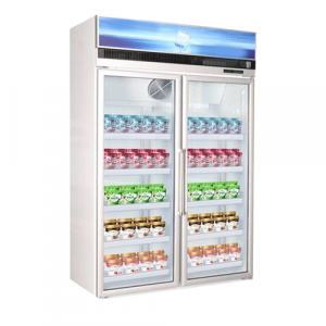 Tủ Đông Trưng Bày 2 Cánh Kính Dung Tích 925L KISTEM KIS-XS92F2Y