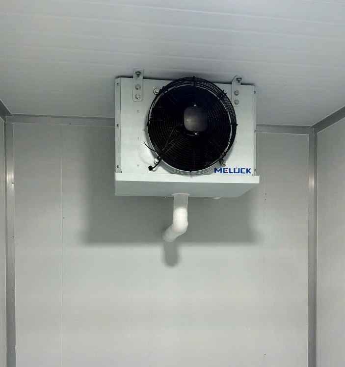 Kho Đông Lạnh Bảo Quản Thực Phẩm Tươi Sống
