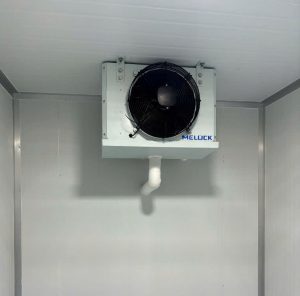 Kho Mát Bảo Quản Tối Ưu Cho Doanh Nghiệp