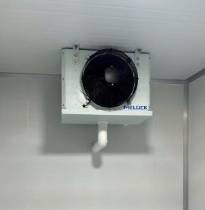 Kho Mát Bảo Quản Tối Ưu Cho Doanh Nghiệp