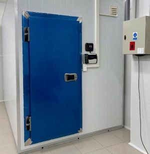 Kho Đông Lạnh Bảo Quản Thực Phẩm Tươi Sống