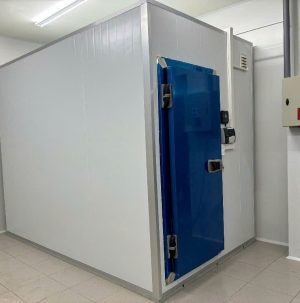 Kho Mát Bảo Quản Tối Ưu Cho Doanh Nghiệp